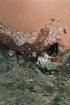 ANTI-ROWSE | FACE OIL
